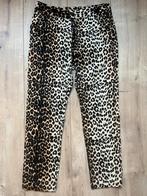 Voodoo Vixen Luipaard Broek - XL, Bruin, Voodoo Vixen, Maat 46/48 (XL) of groter, Ophalen of Verzenden