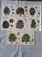 Mozaïek tegels, diverse kleuren en motieven., Ophalen of Verzenden, Nieuw, Materiaal