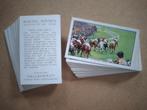 Racing Scenes complete set 48 cigarette cards paardenrennen, Verzamelen, Ophalen, Gebruikt