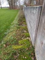 Keerwanden 2e hands diverse maten., Ophalen of Verzenden, Gebruikt