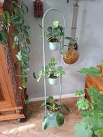 Plantenstandaard, Huis en Inrichting, Kamerplanten, Ophalen, Overige soorten, 150 tot 200 cm