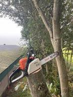 Gezocht haardhout houtwal/boom, Tuin en Terras, Haardhout, Minder dan 3 m³, Ophalen of Verzenden