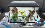 Aquarium met toebehoren, Dieren en Toebehoren, Vissen | Aquaria en Toebehoren, Ophalen, Gebruikt, Leeg aquarium