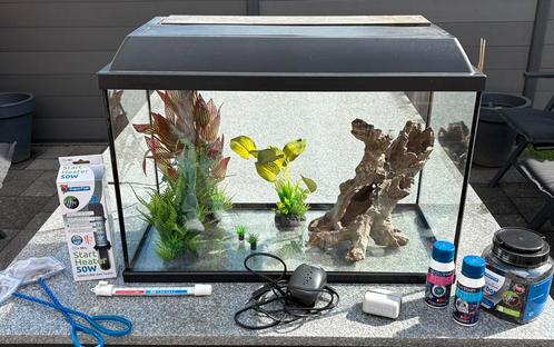 Aquarium met toebehoren, Dieren en Toebehoren, Vissen | Aquaria en Toebehoren, Gebruikt, Leeg aquarium, Ophalen