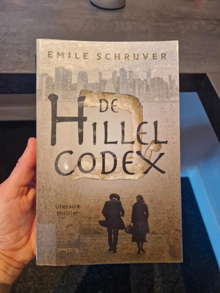 Emile Schrijver - De Hillel Codex, Boeken, Literatuur, Zo goed als nieuw, Nederland, Ophalen of Verzenden