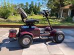 Golfkar - 1 persoons - invalide - Grasshopper - Golf buggy, Sport en Fitness, Golf, Ophalen, Gebruikt, Golfkar, Overige merken