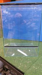 Terrarium 35*35*60 cm NIEUW aanbieding, Ophalen, Nieuw, Info@terraglas.nl, Terraglas