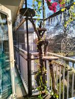 Krabpaal#krabboom voor buiten, Ophalen, Krabpaal