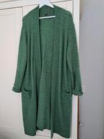 Vest groen van Hema maat L, Ophalen of Verzenden, Zo goed als nieuw, Maat 38/40 (M), Groen
