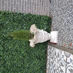 Tuinvaas, Tuin en Terras, Tuinvazen, Ophalen, Zo goed als nieuw