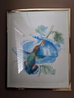 Schilderij Kolibrie en Bloem, Ophalen of Verzenden