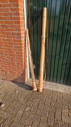 Bieden fraaie midwinterhoorns, Ophalen