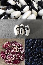 Bijzondere bonen zaden, Verzenden, Zaad