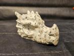 Drakenskull Kiwi Jaspis, Ophalen of Verzenden, Mineraal