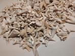 Partij fossiele haaientanden. Megalodon fossiel haai tand, Verzamelen, Mineralen en Fossielen, Ophalen of Verzenden, Fossiel