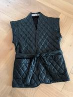 Esqualo bodywarner, Ophalen of Verzenden, Zo goed als nieuw, Maat 36 (S), Zwart