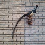 Kruising tussen goudfazant en lady amherst fazant opgezet, Ophalen of Verzenden, Zo goed als nieuw, Vogel, Opgezet dier