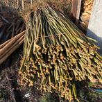 Gratis wilgentakken, Ophalen, Overige soorten, Volle zon