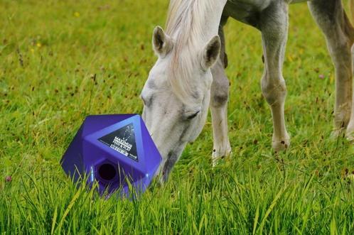 Maximus Feed & Play, Voerbal, Speelbal, Dieren en Toebehoren, Paarden en Pony's | Overige Paardenspullen, Nieuw, Ophalen of Verzenden