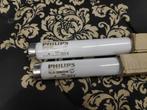 Philips TL TL's 36W 840 5 stuks nieuw, Huis en Inrichting, Lampen | Losse lampen, Ophalen, Minder dan 30 watt, Overige typen, Nieuw