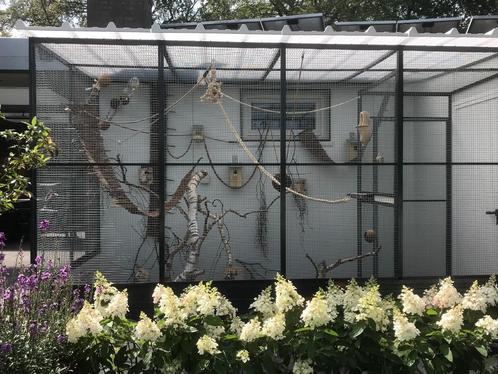 hokken en kooien, Dieren en Toebehoren, Knaagdieren en Konijnen | Hokken en Kooien, Nieuw, Kooi, 90 cm of meer, 110 cm of meer