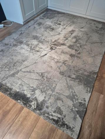 Vloerkleed grijs beige taupe modern 160x230