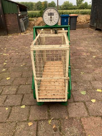 Kleinvee weegschaal beschikbaar voor biedingen