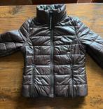 Pikeur jas 40, Ophalen of Verzenden, Gedragen, Maat 38/40 (M), Paars