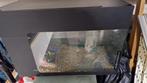 Aquarium, Dieren en Toebehoren, Ophalen, Gebruikt, Leeg aquarium
