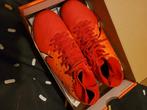 NIKE zoom pro, Maat XS of kleiner, Schoenen, Nieuw, Ophalen of Verzenden