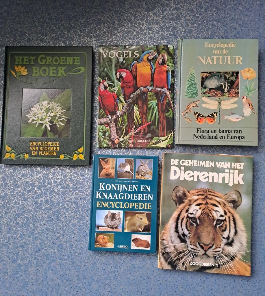 Boeken, Boeken, Partijen en Verzamelingen, Ophalen