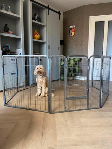 Puppyren 80 cm hoog kleur grijs beschikbaar voor biedingen