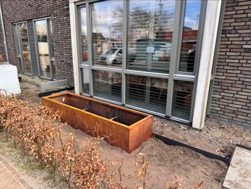 Cortenstaal bloembakken op maat  beschikbaar voor biedingen