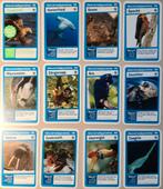 Superdieren plaatjes Actie AH per plaatje €0,10, Verzamelen, Supermarktacties, Verzenden, Albert Heijn, T, H