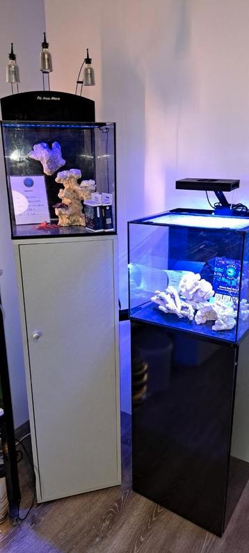 Mooie zeeaquariums beschikbaar voor biedingen