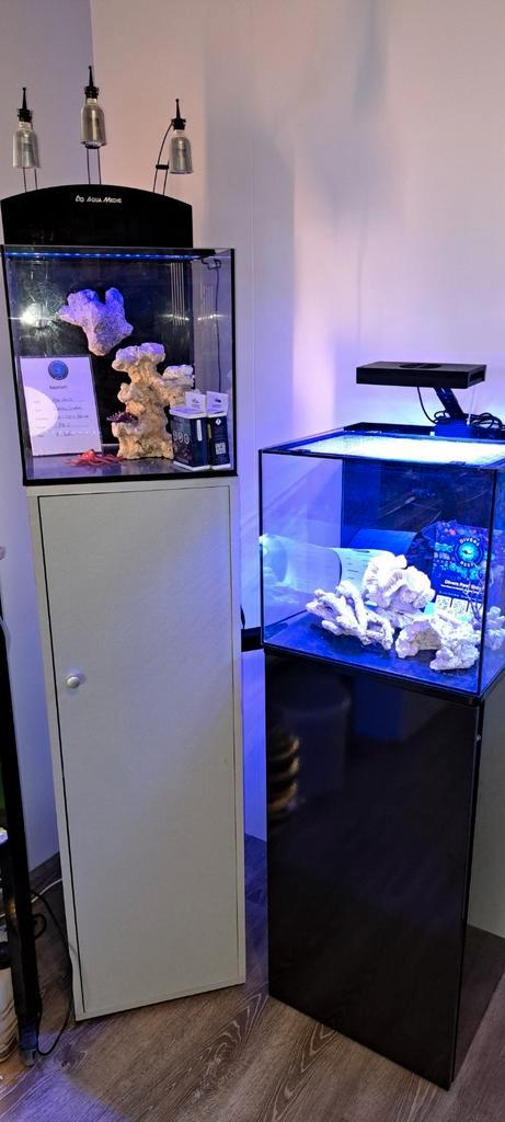 Mooie zeeaquariums, Dieren en Toebehoren, Vissen | Aquaria en Toebehoren, Zo goed als nieuw, Leeg aquarium, Ophalen