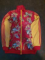 Ed Hardy vest/ zomerjas maat XL, Ophalen of Verzenden, Zo goed als nieuw, Maat 56/58 (XL), Ed Hardy