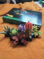 LEGO Botanical Collection Succulenten 10309, Ophalen of Verzenden, Nieuw