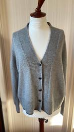 Grijs wollen vest Liu Jo mt M, valt royaal ca 40/42, Ophalen of Verzenden, Gedragen, Maat 38/40 (M), Grijs