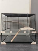 Ferplast knaagdierenkooi, Dieren en Toebehoren, Knaagdieren en Konijnen | Hokken en Kooien, Kooi, Gebruikt, Hamster, 75 tot 110 cm