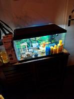 Mooi aquarium 60x30x30, Ophalen, Zo goed als nieuw, Leeg aquarium