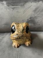 Schattige Kikker Plantenpot, Geel, Aardewerk of Porselein, Ophalen of Verzenden, Zo goed als nieuw