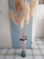 Hoge cilinder vaas met 7 pampus pluimen, Ophalen, Zo goed als nieuw