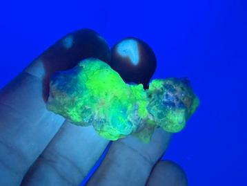 Morado Opaal mineralen fluoriserend UV actief beschikbaar voor biedingen