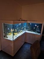 Aquarium te koop, Dieren en Toebehoren, Vissen | Aquaria en Toebehoren, Ophalen, Zo goed als nieuw, Leeg aquarium