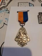 Medaille Vogeltocht Texel 1972, Postzegels en Munten, Ophalen of Verzenden, Overige materialen, Nederland