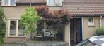 *Te koop* Japanse Acer / Japanse Esdoorn (eind Oktober), Tuin en Terras, Planten | Bomen, Ophalen, Bloeit niet, Halfschaduw, Overige soorten