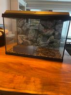 Aquarium set compleet, Ophalen, Zo goed als nieuw, Leeg aquarium