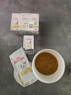 Diverse Urinary voeding, Dieren en Toebehoren, Dierenvoeding, Ophalen of Verzenden, Hond