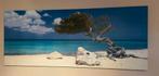Ikea Pjatteryd Enbo foto Aruba doek op houten lijst, Antiek en Kunst, Ophalen